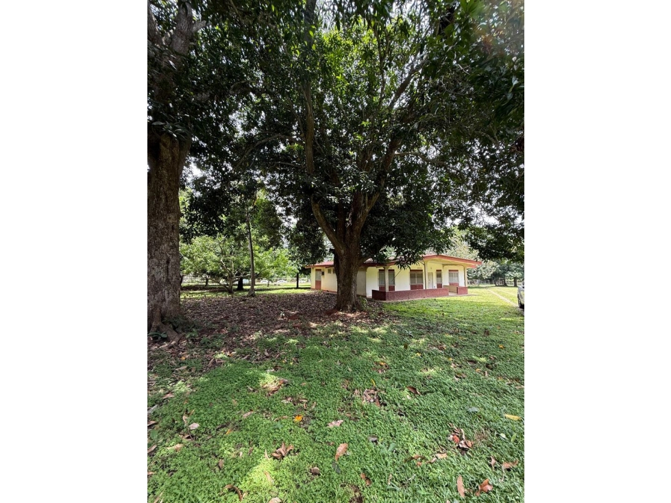 Venta de 2 lotes en Nueva Gorgona A 60 m de la playa