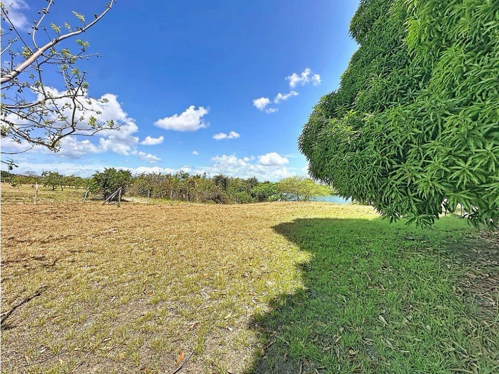 Venta de terreno en San Carlos Lagomar | Vía La Ensenada