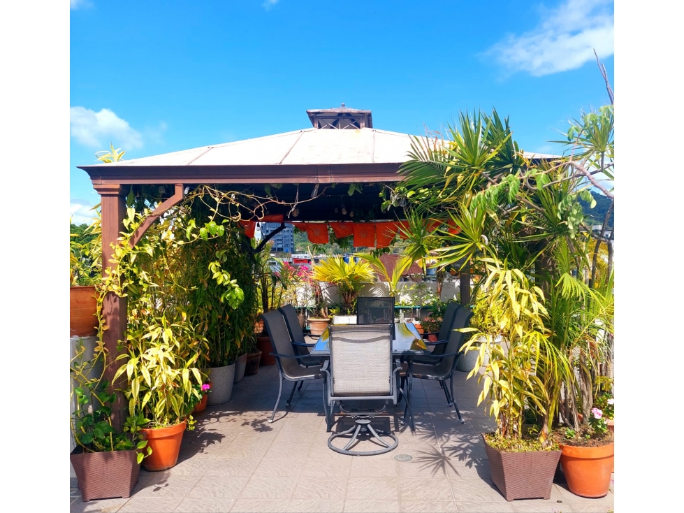 Venta de Penthouse en Casco Antiguo PH Benedetti Hermanos — foto 5