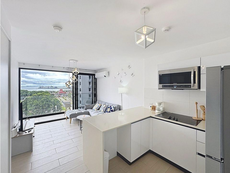 Alquiler de Apartamento en San Francisco PH Living 73