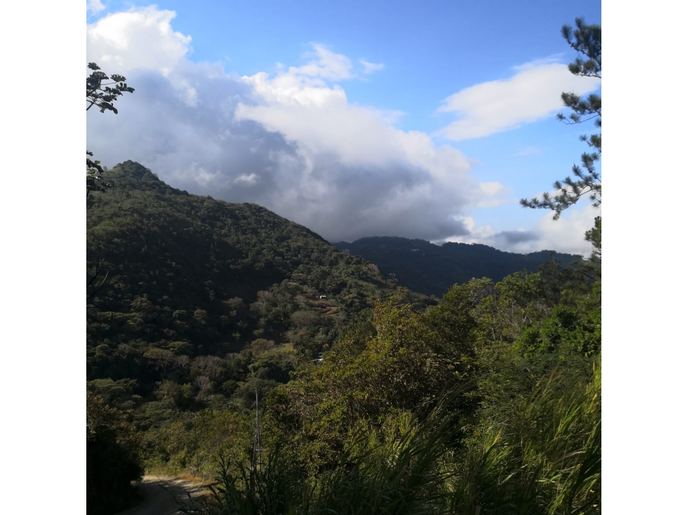 ¡Precio de Oportunidad! Terreno en Bosques de Galicia, Altos de Maria