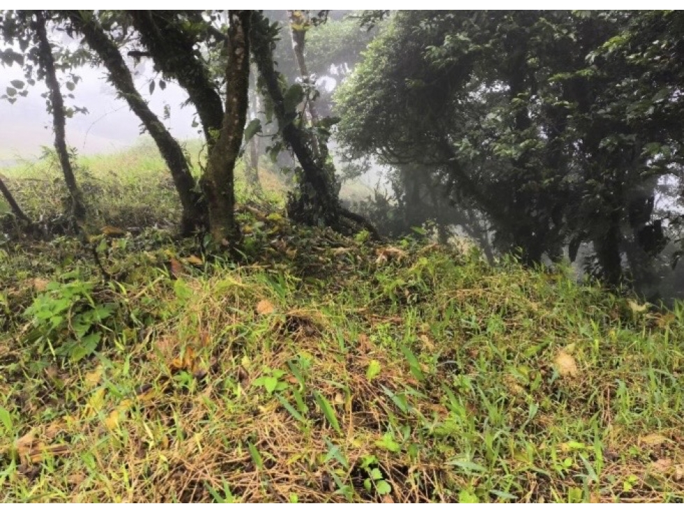 Lote en venta en Bosques de Galicia, Altos de María