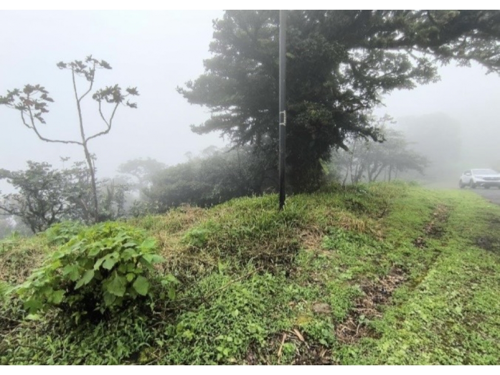 Lote en venta en Bosques de Galicia, Altos de María - 1