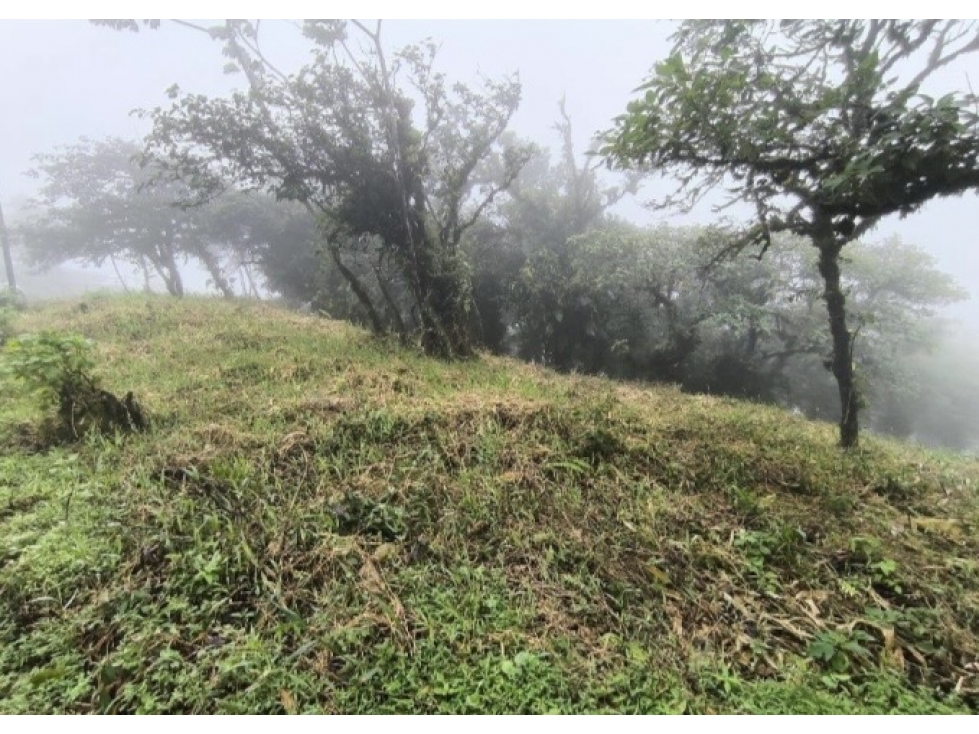 Lote en venta en Bosques de Galicia, Altos de María - 2