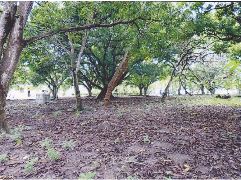 Terreno Plano en Nueva Gorgona - 3