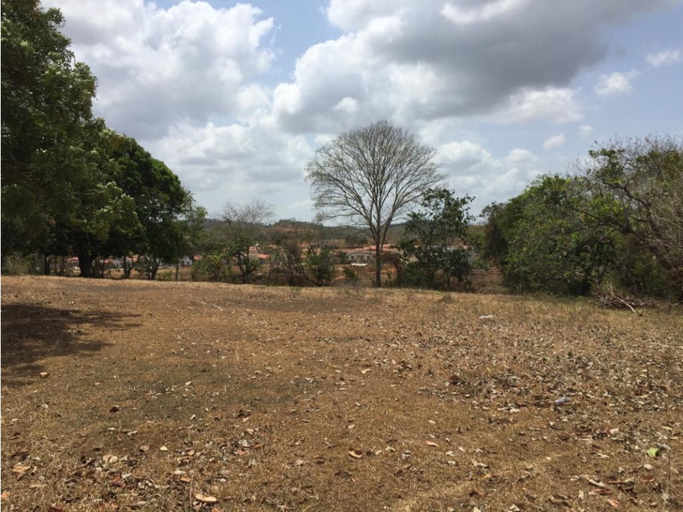 Terreno Plano en Rio Congo, La Chorrera - 3