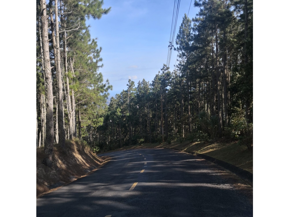 ¡Precio de Oportunidad! Terreno en Bosques de Galicia, Altos de Maria — foto 3