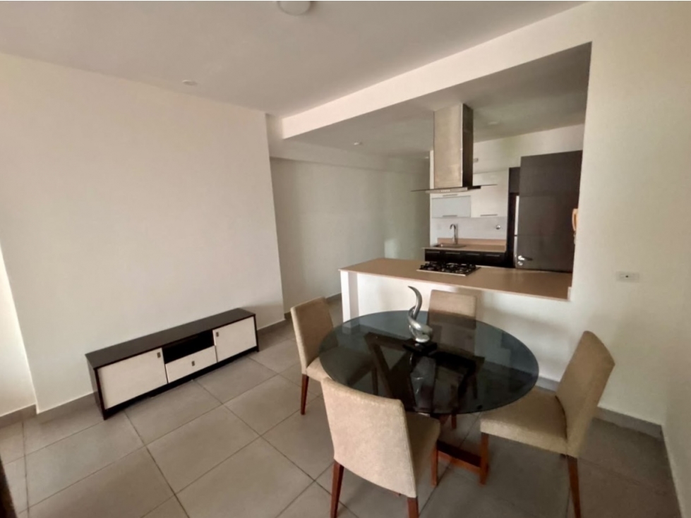 Apartamento Amoblado en PH Element, Avenida Balboa — foto 3