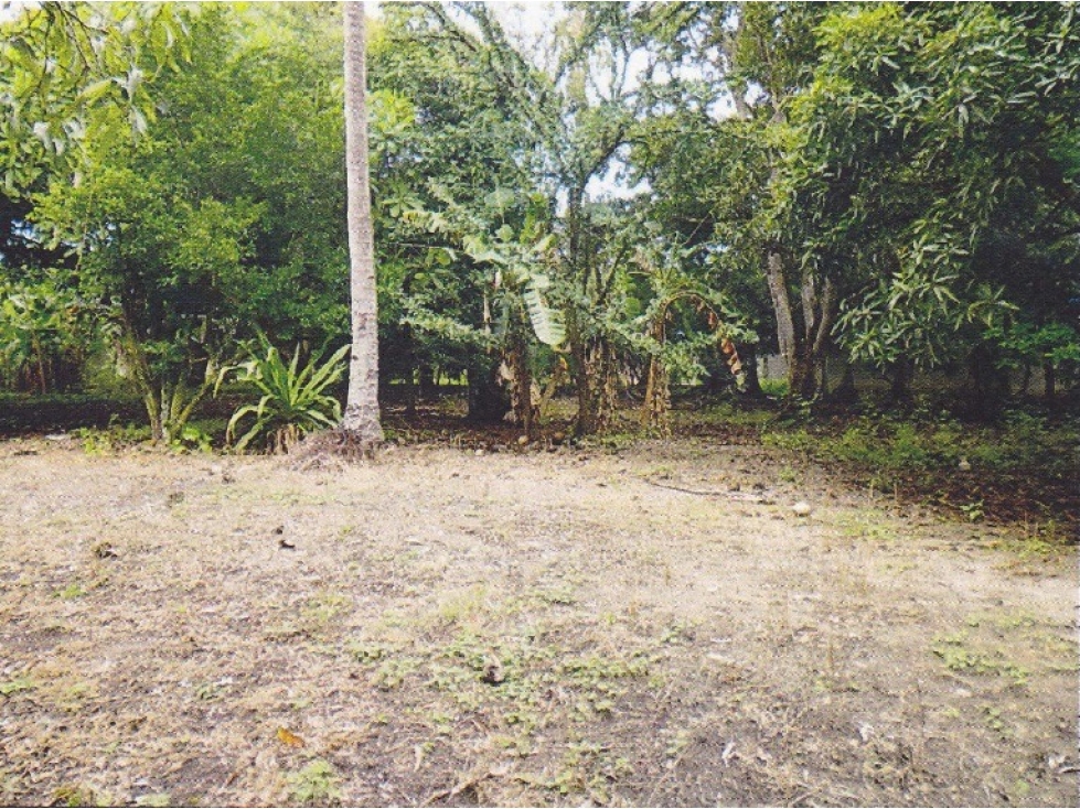 Terreno Plano en Nueva Gorgona - 4