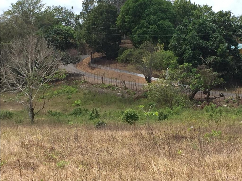 Terreno Plano en Rio Congo, La Chorrera - 4