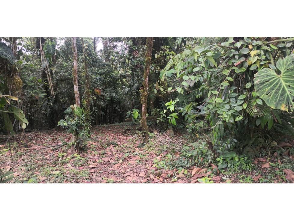 ¡Precio de Oportunidad! Terreno en Bosques de Galicia, Altos de Maria — foto 4