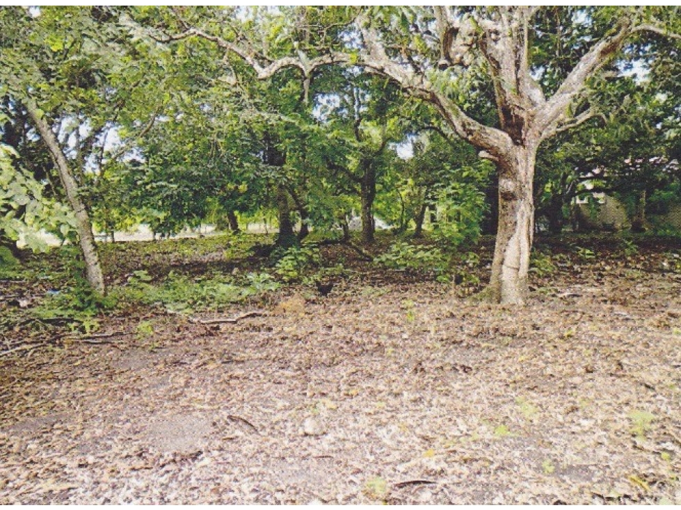 Terreno Plano en Nueva Gorgona - 5