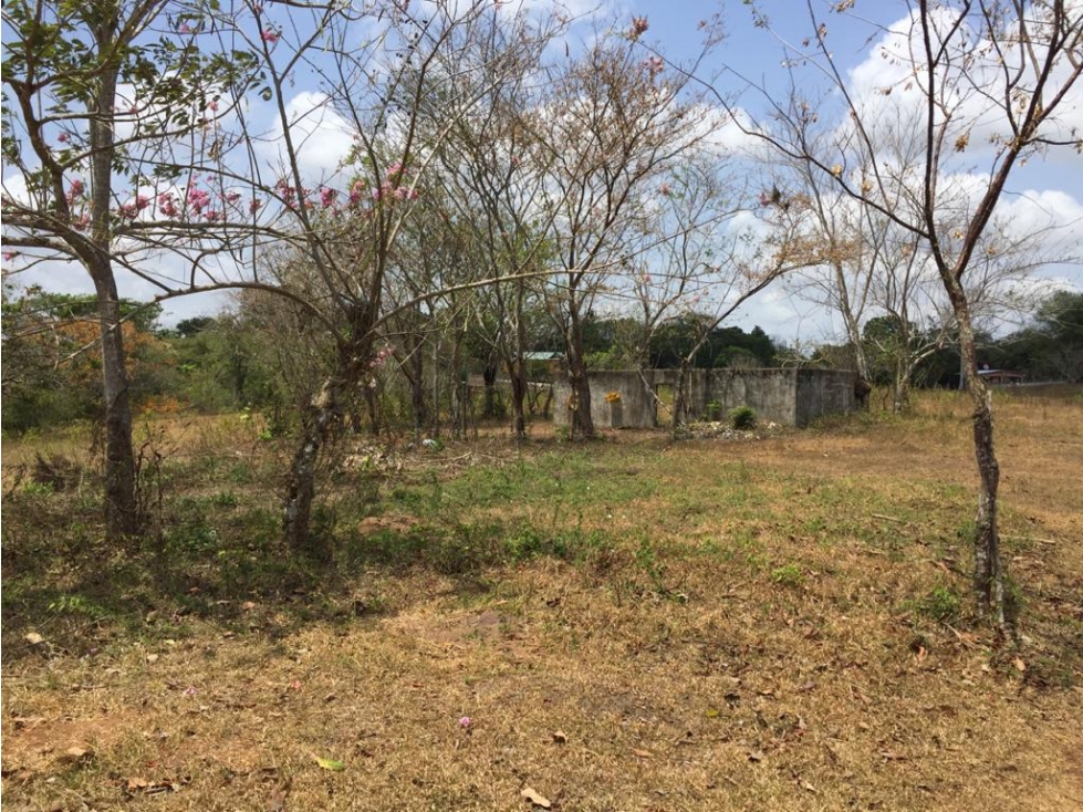 Terreno Plano en Rio Congo, La Chorrera - 5