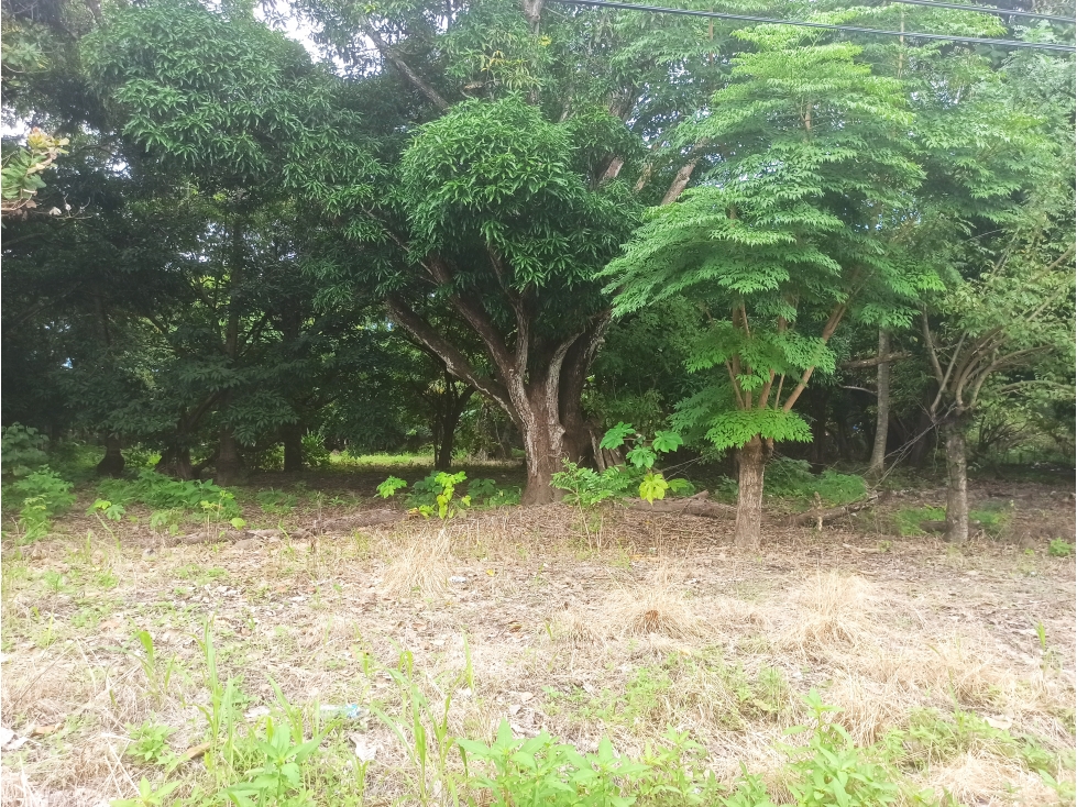 Terreno Plano en Nueva Gorgona - 6