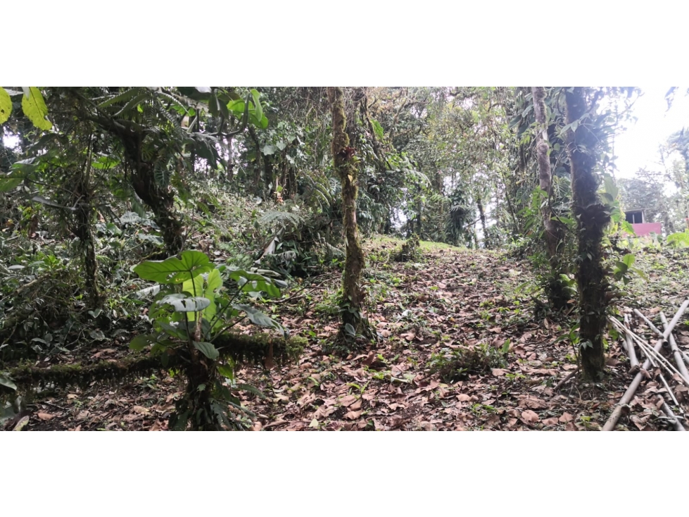¡Precio de Oportunidad! Terreno en Bosques de Galicia, Altos de Maria — foto 6