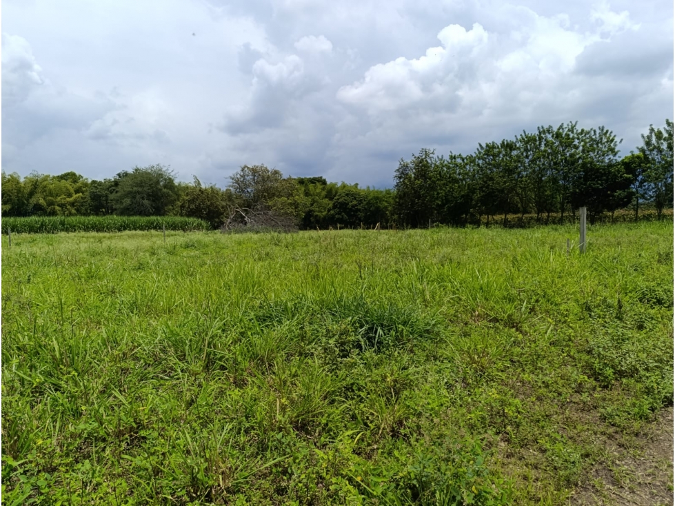 LOTE EN VENTA - P. CAPRICORNIO SANTA ELENA -CERRITO REF 8614882 — foto 5