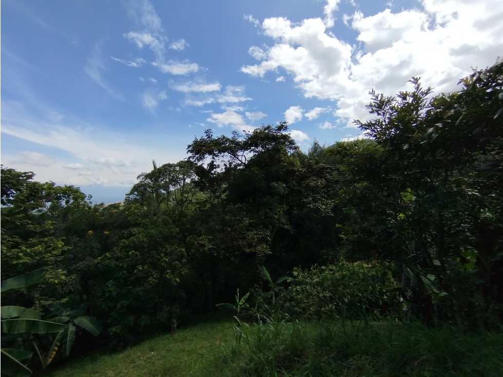 LOTE EN VENTA - EL POMO - EL CERRITO VALLE - REF 7746824