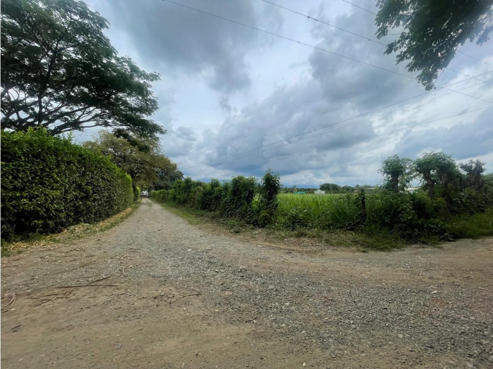 LOTES EN VENTA - PARCELACION ALONDRA - STA. ELENA CERRITO REF 10503942 - 4