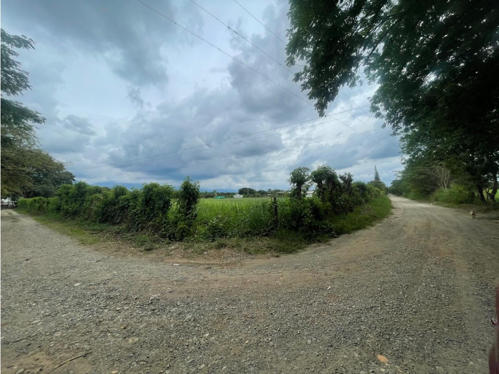LOTES EN VENTA - PARCELACION ALONDRA - STA. ELENA CERRITO REF 10503942 - 2