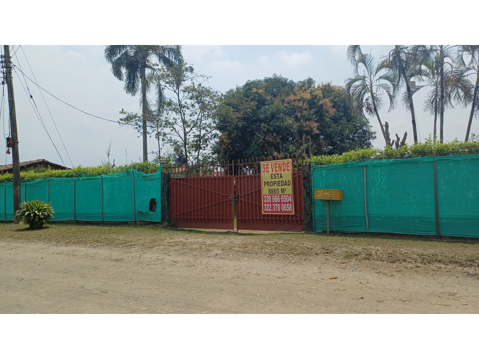 FINCA EN VENTA - BUCHITOLO -CANDELARIA REF: 8461947 - 1