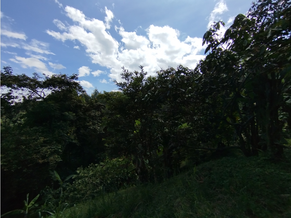 LOTE EN VENTA - EL POMO - EL CERRITO VALLE - REF 7746824 — foto 2