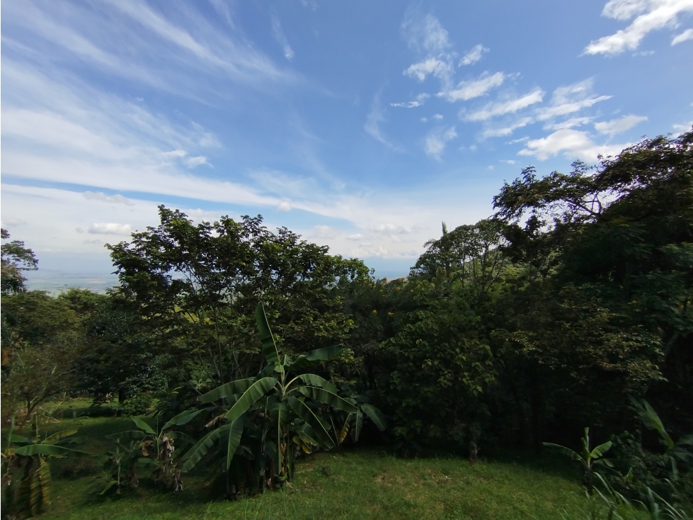 LOTE EN VENTA - EL POMO - EL CERRITO VALLE - REF 7746824 — foto 3
