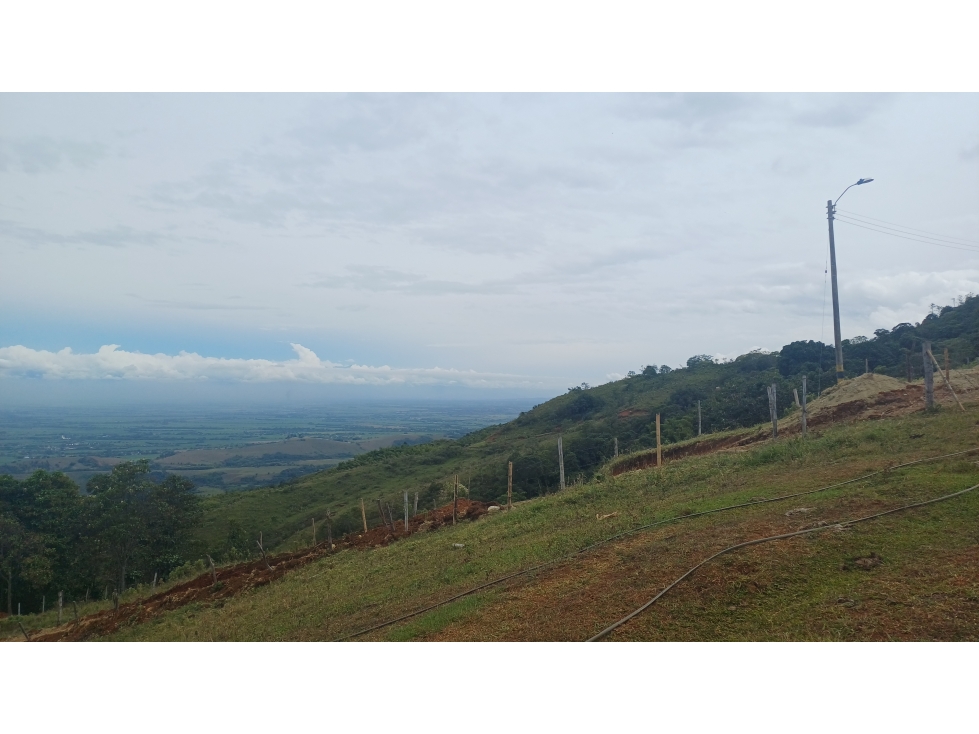 LOTES EN VENTA - LA BUITRERA - PALMIRA REF: 9360181 — foto 6