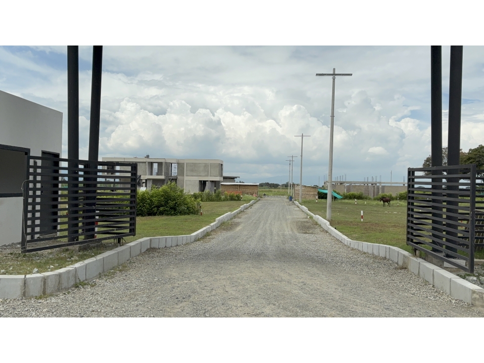 LOTES EN VENTA - EL LAURO - CANDELARIA REF 9716835 - 3