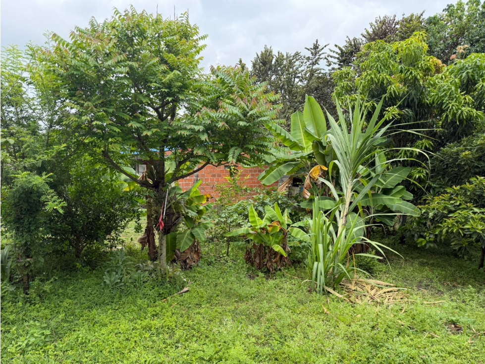 CASA CAMPESTRE EN VENTA - TABLONES - PALMIRA - REF: 9932143 — foto 4