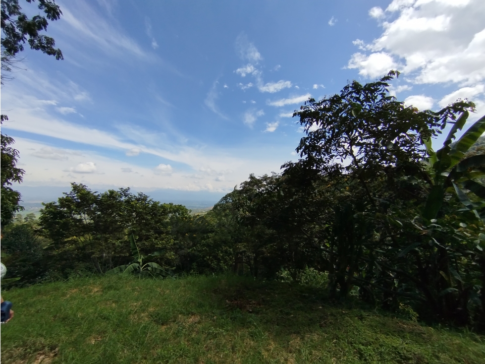 LOTE EN VENTA - EL POMO - EL CERRITO VALLE - REF 7746824 — foto 4