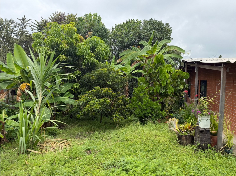 CASA CAMPESTRE EN VENTA - TABLONES - PALMIRA - REF: 9932143 — foto 5