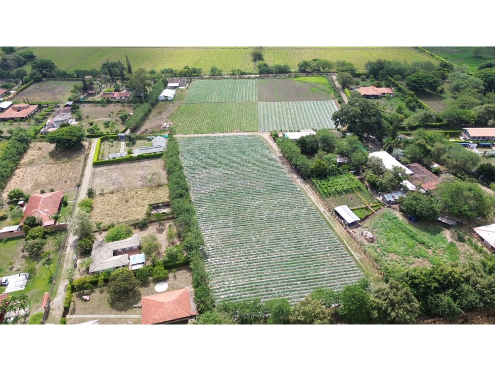 LOTES EN VENTA - PARCELACION ALONDRA - STA. ELENA CERRITO REF 10503942 - 1