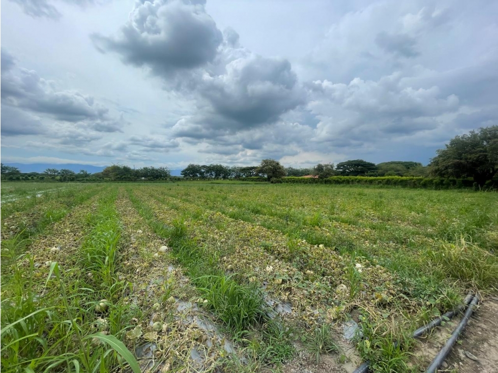 LOTES EN VENTA - PARCELACION ALONDRA - STA. ELENA CERRITO REF 10503942 - 5