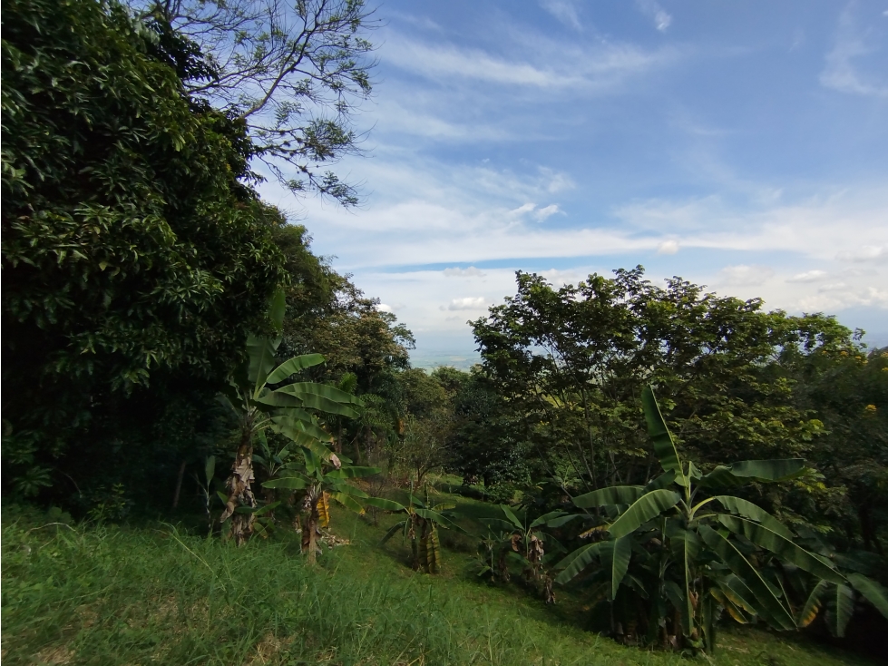 LOTE EN VENTA - EL POMO - EL CERRITO VALLE - REF 7746824 — foto 6