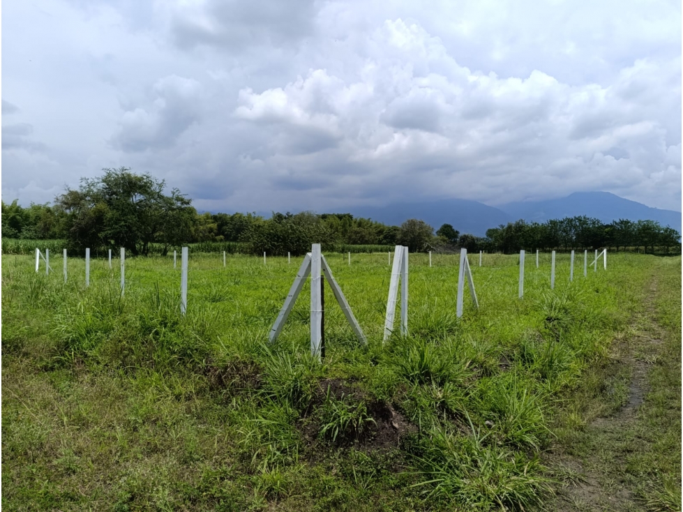 LOTE EN VENTA - P. CAPRICORNIO SANTA ELENA -CERRITO REF 8614882 — foto 3