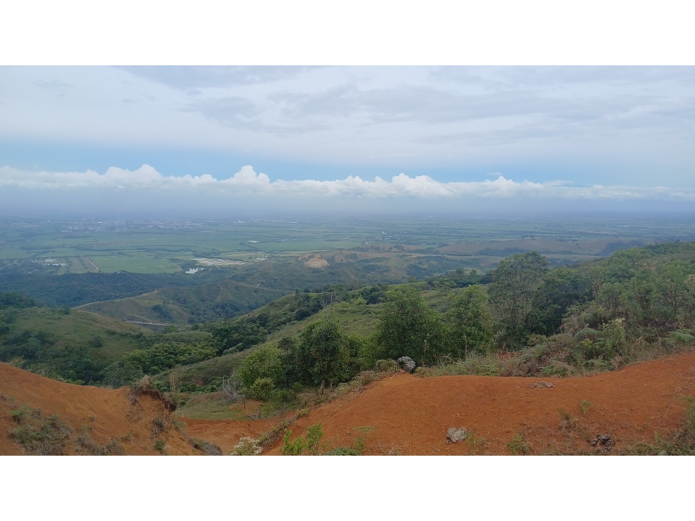 LOTES EN VENTA - LA BUITRERA - PALMIRA REF: 9360181