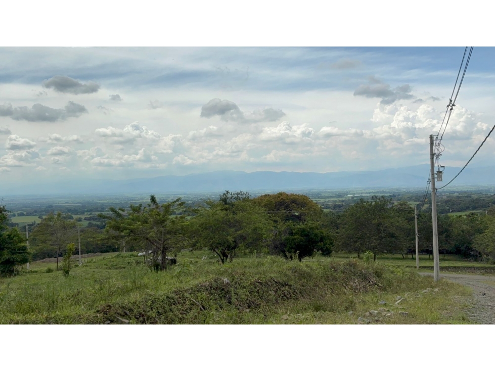 LOTES EN VENTA - PARCELACION LOS ALPES - GINEBRA REF: 9758830 - 2