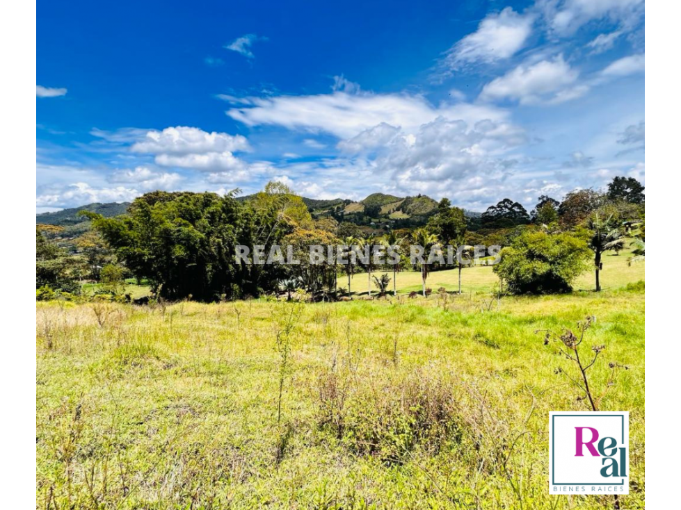 VENDO HERMOSO LOTE INDEPENDIENTE EN LA VEREDA SAN NICOLAS