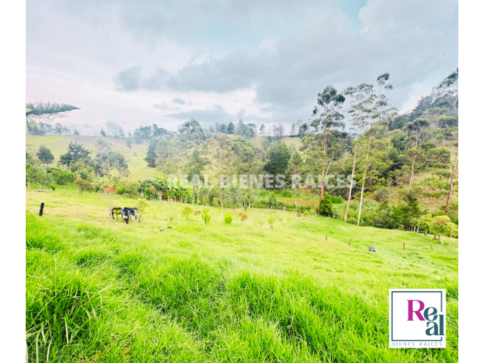 ¡FINCA EXCLUSIVA DE ENSUEÃO! - 2