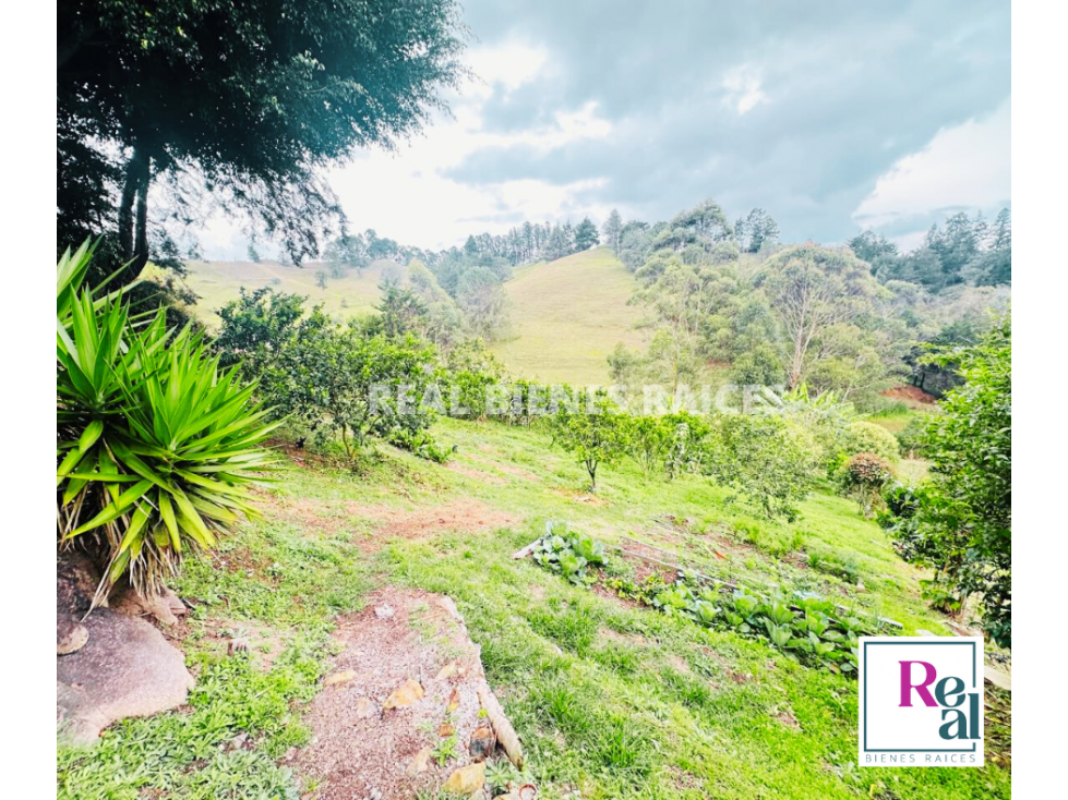 ¡FINCA EXCLUSIVA DE ENSUEÃO! - 5