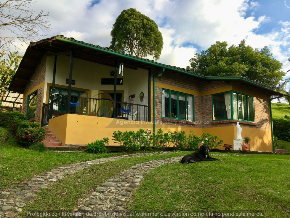 Venta Finca vía Circasia