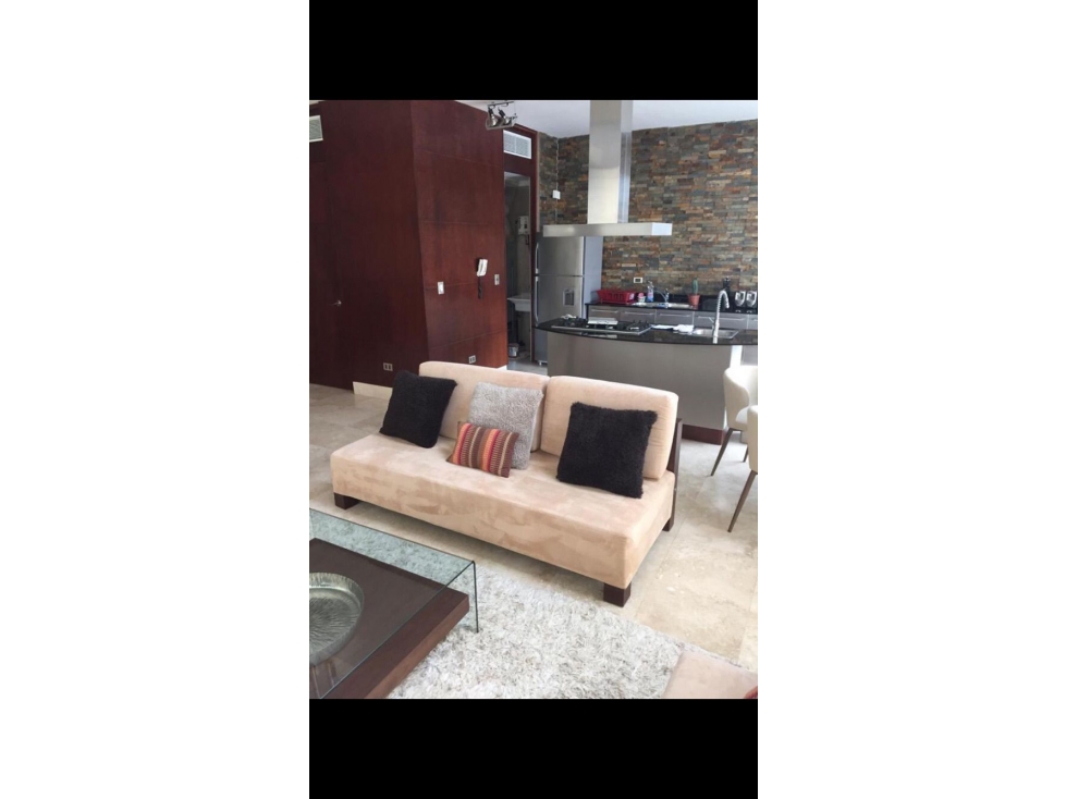 ALQUILO APARTAMENTO EN PUNTA PACIFICA, TIPO LOFT, 1 RECAMARA. — foto 6