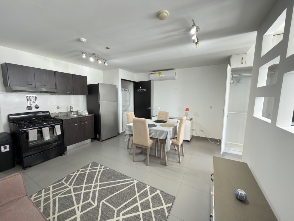 ALQUILO APARTAMENTO EN BELLA VISTA, 1 RECAMARA, AMOBLADO, 45M2. — foto 6