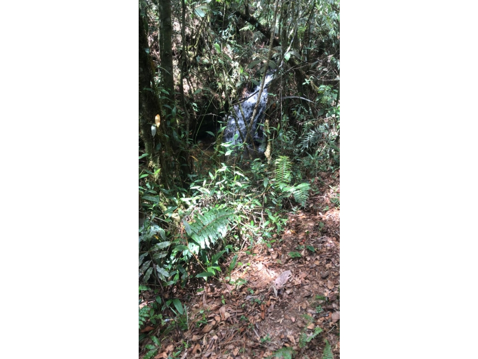 Lotes en Venta en Parcelación Residencial en El Retiro, Antioquia — foto 2