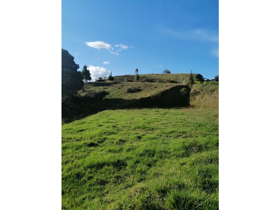 Venta de Lote en Exclusiva Parcelación Pantanillo en el Retiro — foto 3