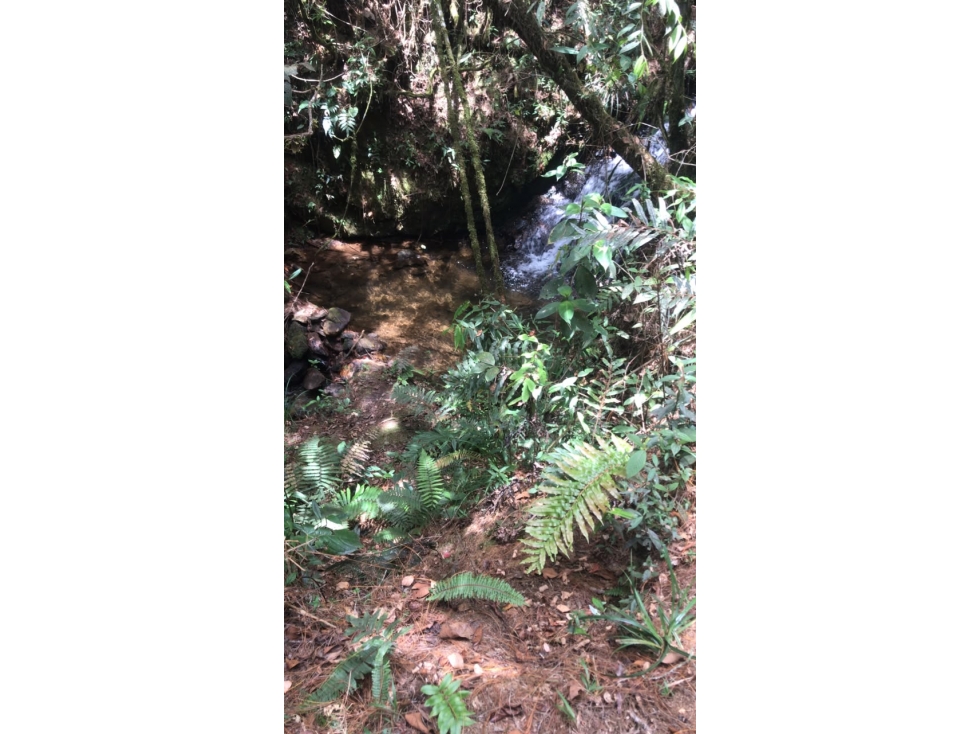 Lotes en Venta en Parcelación Residencial en El Retiro, Antioquia