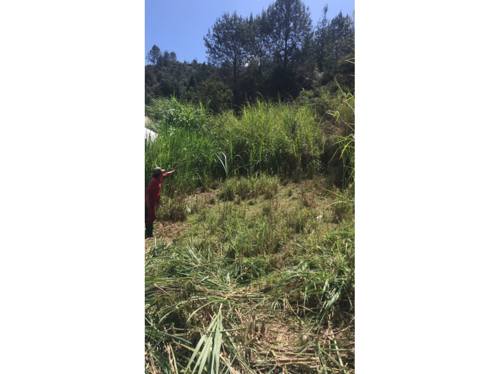 Lotes en Venta en Parcelación Residencial en El Retiro, Antioquia — foto 5