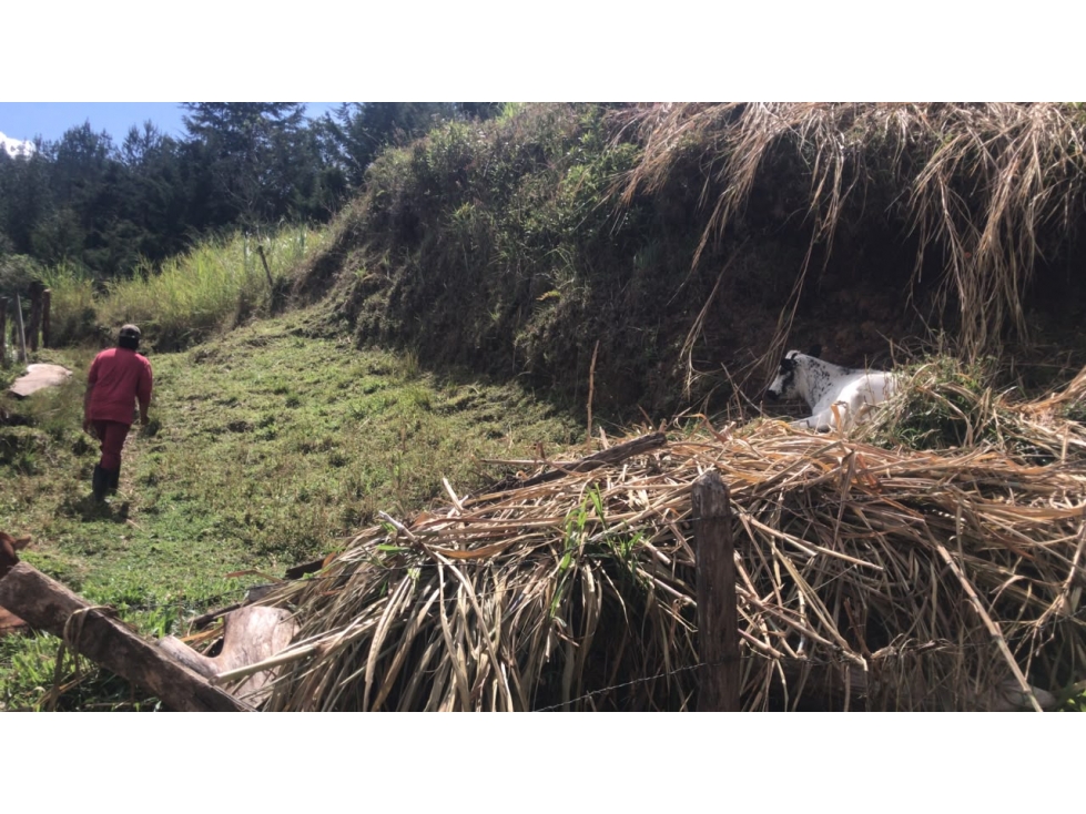 Lotes en Venta en Parcelación Residencial en El Retiro, Antioquia — foto 4