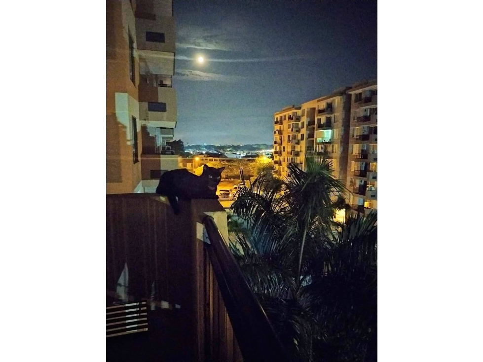 VENTA APARTAMENTO RICAURTE-CUNDINAMARCA — foto 2