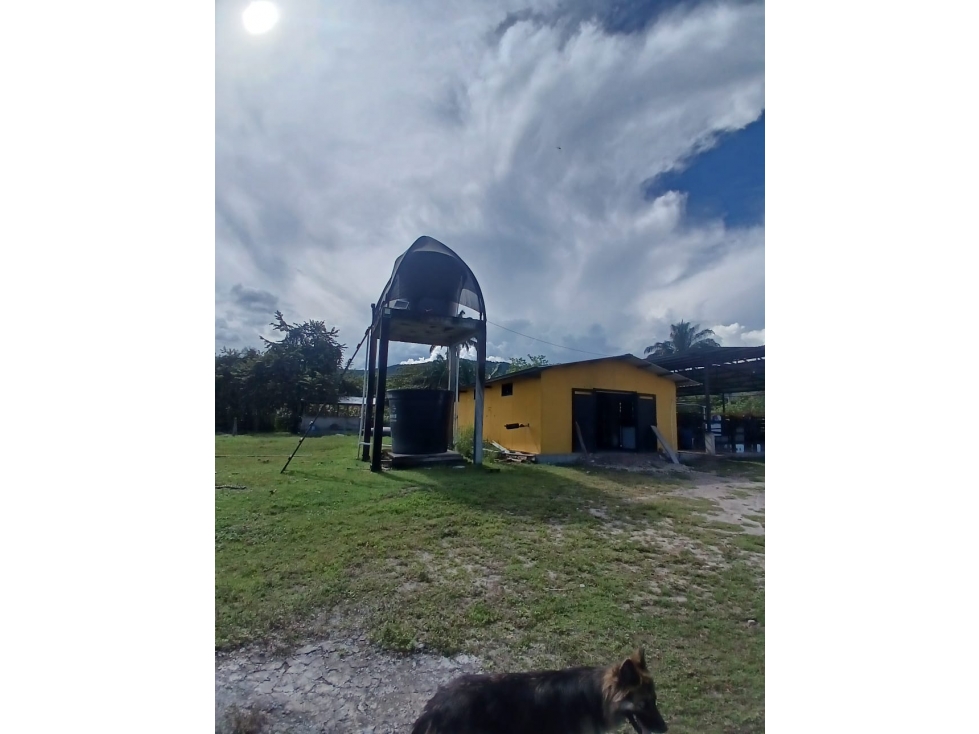 VENTA DE FINCA SAN LUIS TOLIMA - 4